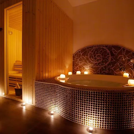 Wellness U Muzea Guest house 3*