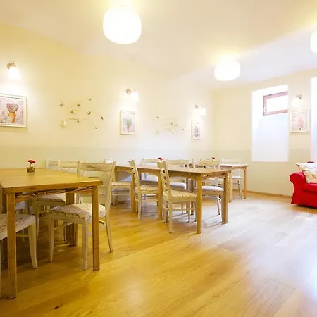 Wellness U Muzea Guest house 3*