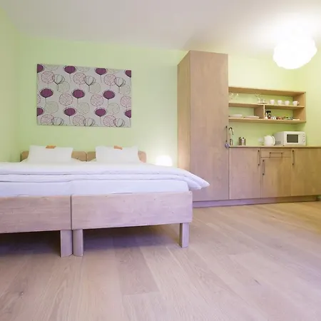 Wellness U Muzea Guest house Liberec