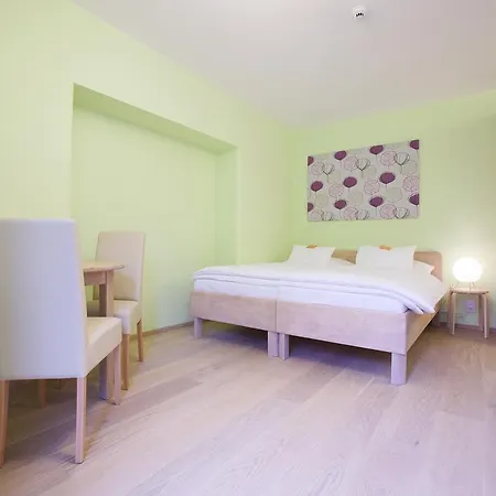 Wellness U Muzea Guest house