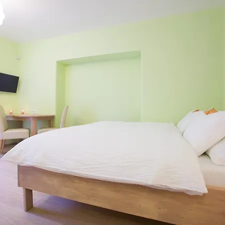 Guest house Wellness U Muzea 3*