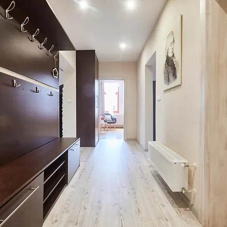 Guest house Wellness U Muzea 3*