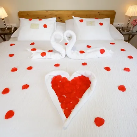 Wellness U Muzea Gæstehus 4*