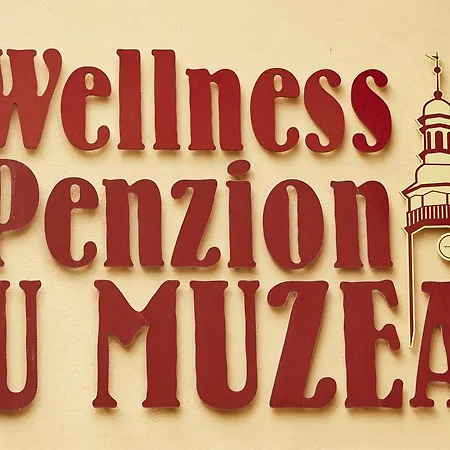 Vendégház Wellness U Muzea 4*
