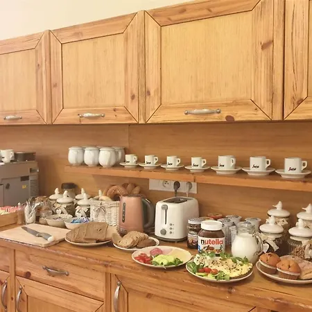 Vendégház Wellness U Muzea 4*