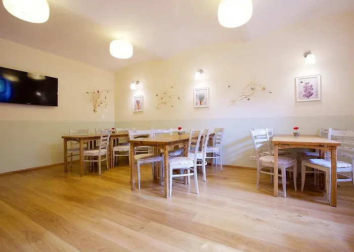 Casa de hóspedes Wellness U Muzea Liberec