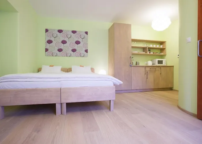 Wellness U Muzea Konukevi Liberec