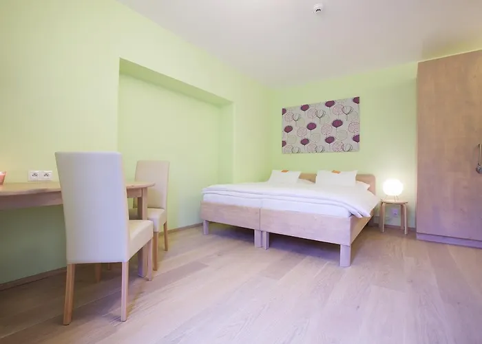 Wellness U Muzea Pensionat