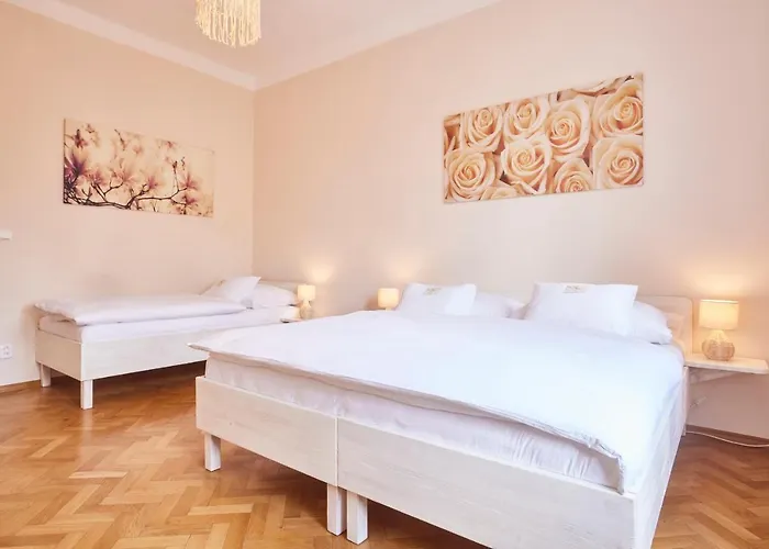 Konukevi Wellness U Muzea