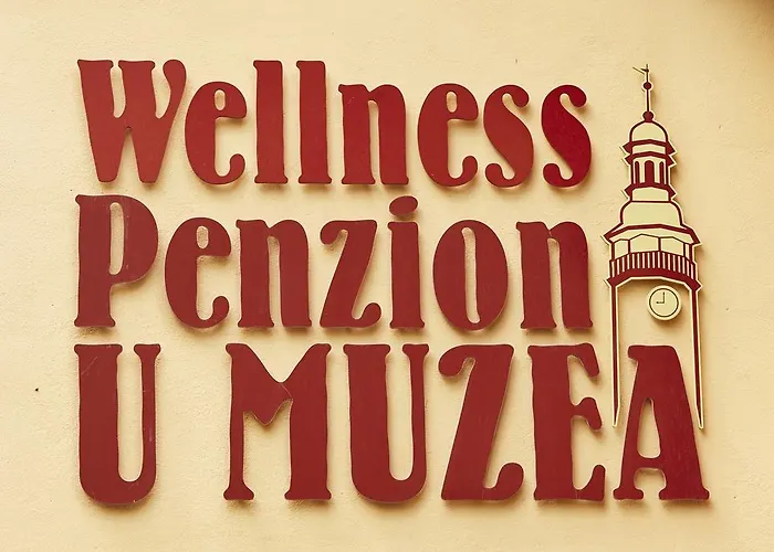 Pensionat Wellness U Muzea 4*